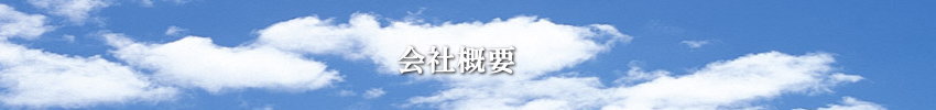 ЃCtHVXẻЊTvbʌ܎s̃Rs[@E@EOA@탌^