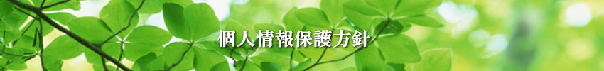 ЃCtHVXělیjbʌ܎s̃Rs[@E@EOA@탌^